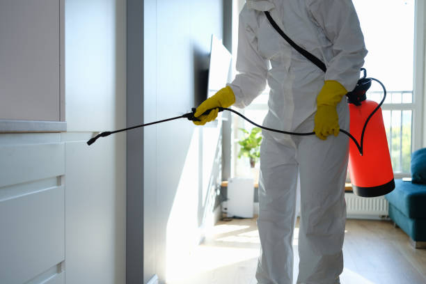 Best Mold Removal Process  in Hortonville, WI