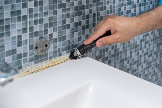 Best Residential Mold Removal  in Hortonville, WI